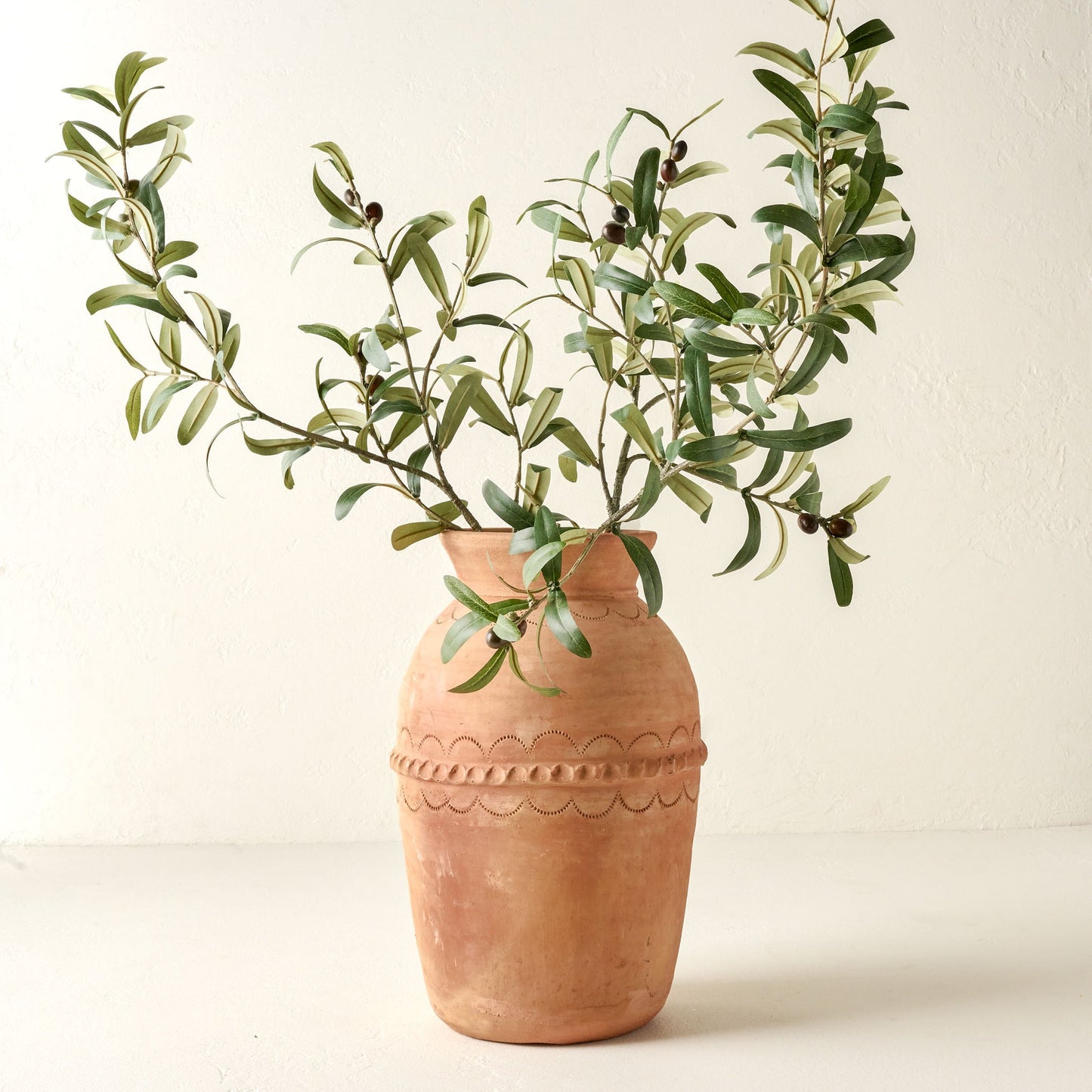 Olive Leaf Stem