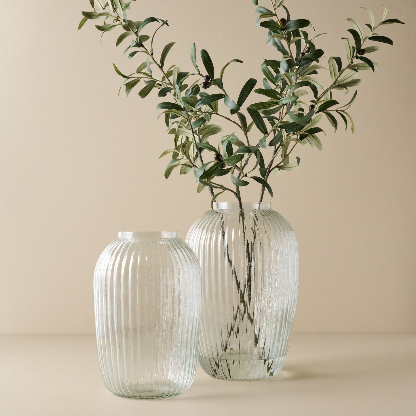 Olive Leaf Stem